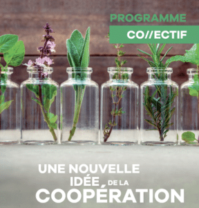 CO//ectif 2022-2023&nbsp;: 10 projets de coopération innovante sélectionnés