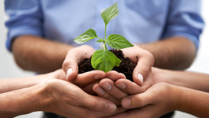 Journées du développement durable et de l’innovation sociale pour les jeunes 2024