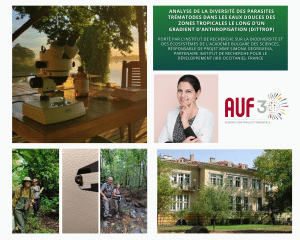 Explorer la diversité cachée des trématodes en milieu tropical, de la nature à la ville