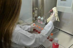 2 projets de coopération scientifique inter-universitaire retenus pour financement par l’AUF Moyen-Orient