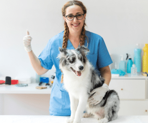 Vétérinaires innovants pour un futur durable